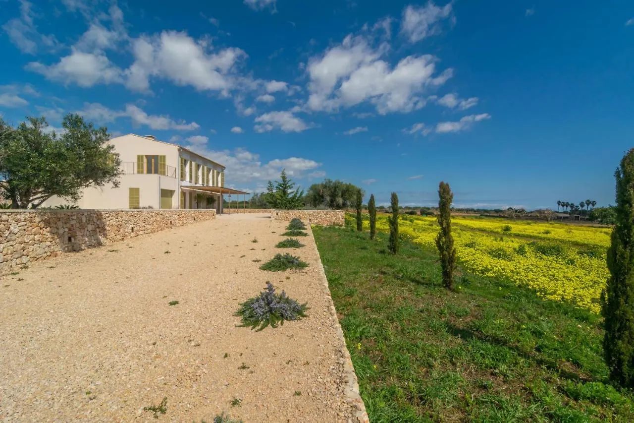 Can Mosca Cala Mandia  Villa